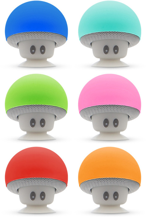 G115 fong colores gato