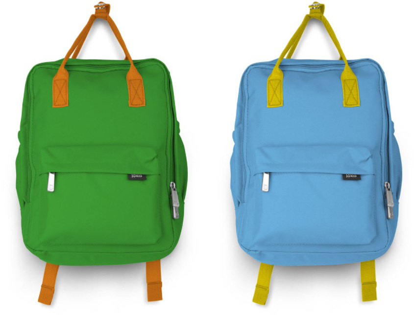 G199 trendy colores gato
