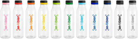 Botella "ANDINA BLACK" 