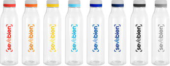 Botella "ANDINA FROST"