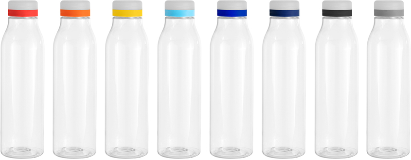 Botella "ANDINA FROST"