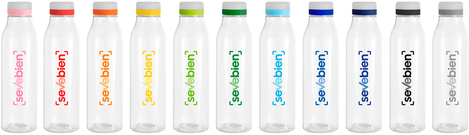 Botella "ANDINA FROST"