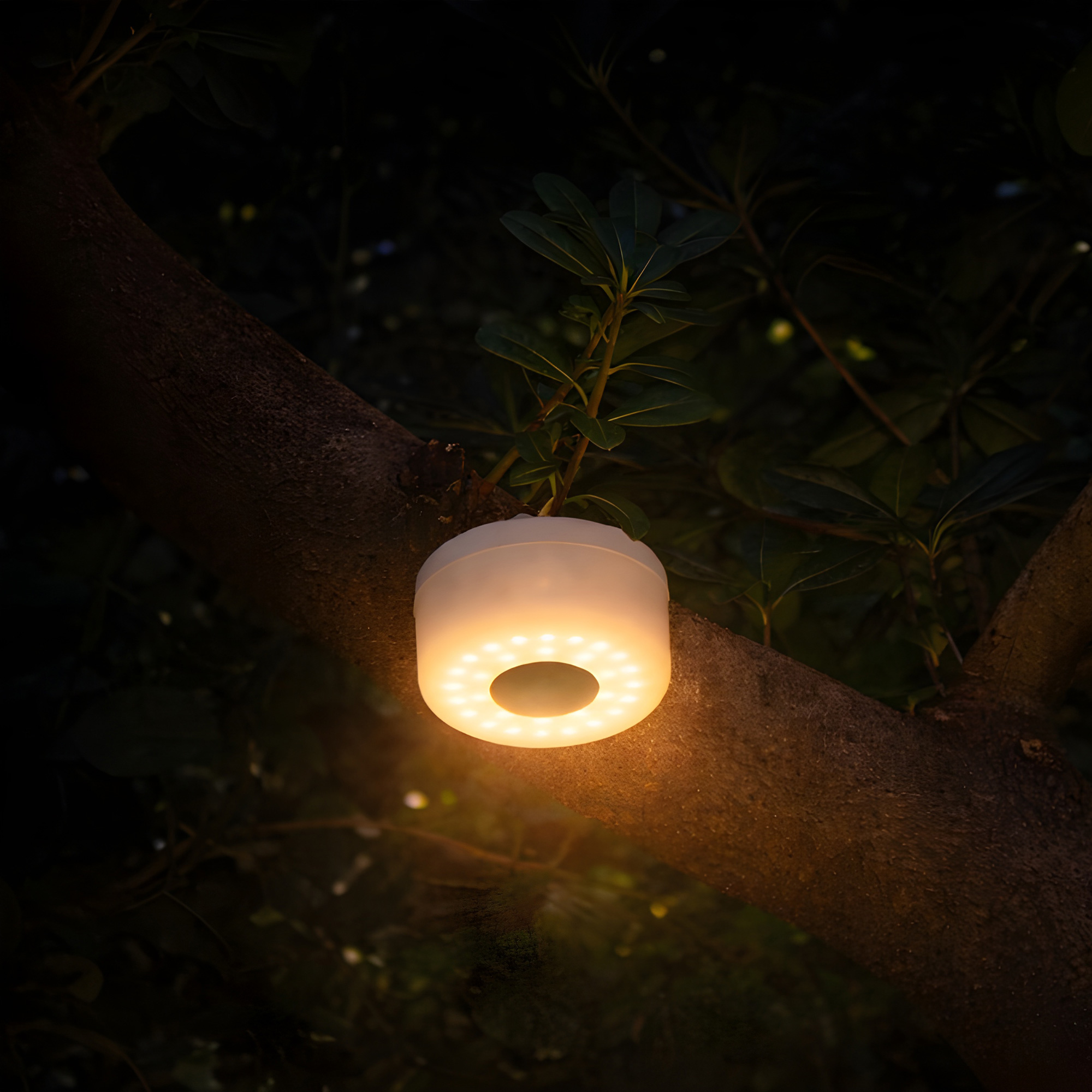 Guirnalda de luces led "RADIANT" Blanco